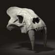 Sabertooth-cat-skull-1.jpg 3d Print Skull Sabertooth Cat