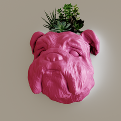 head-planter-1.png Bulldog head planter wall mount succulent pot flower vase STL