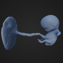 NineWeeksFetus_1.png STL file 9 Week Fetus・3D print design to download