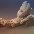 20180511_075601.jpg Groot
