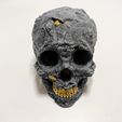 IMG_6737.jpeg Stone Skull [with gold nuggets]