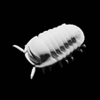 131759.png Cubaris Rubber Ducky Isopod Roly Poly