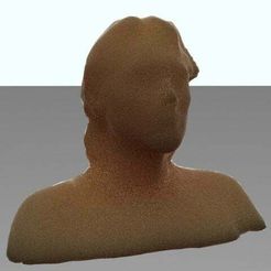 vrayfast_size5_dome.jpg My 3D Scan Bust