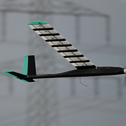 Capture_d__cran_2015-08-18___13.09.03.png First Take Off of a fully printed (FDM) sailplane.