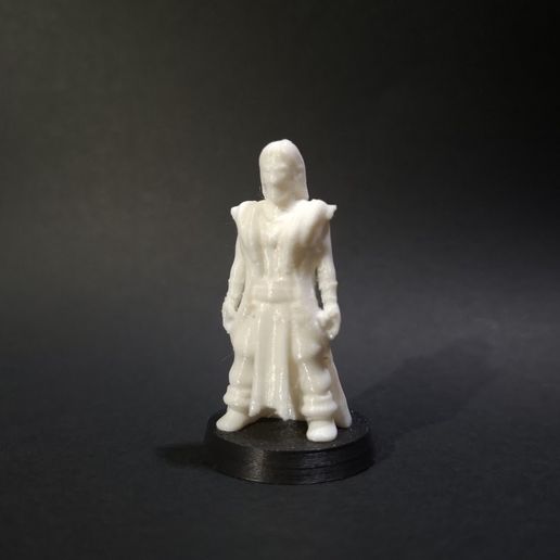 Monje D&D Mini