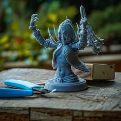 DSC05881.jpg STL file Darkest Dungeon: Flagellant Female・3D print design to download