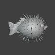 Screenshot-2025-04-07-232517.png puffer fish
