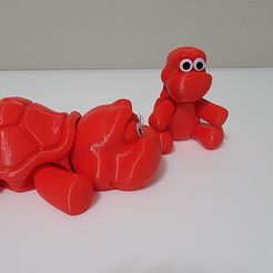 tortue flexible