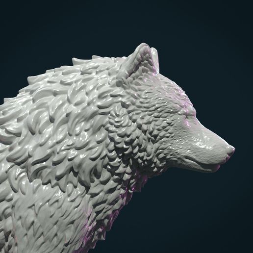 Wolf_IIIx-05.jpg Wolf IV