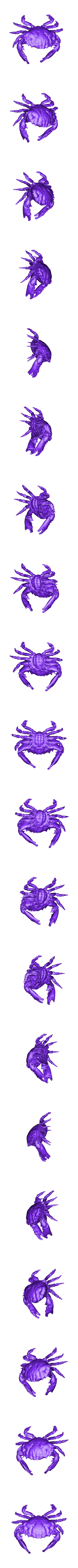 Dark_Finger_Reef_Crab.obj Dark Finger Reef Crab