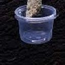 descarga.jpg STL file terrarium feeder/drinker・3D print design to download
