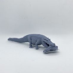 Suchus_p2.jpg STL file Deinosuchus walking - pre-supported prehistoric crocodile/alligator・3D print design to download