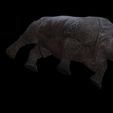 4.jpg Rhino Walk ANIMATED