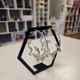 20230315_103229.jpg Hexagon Large Earring Display