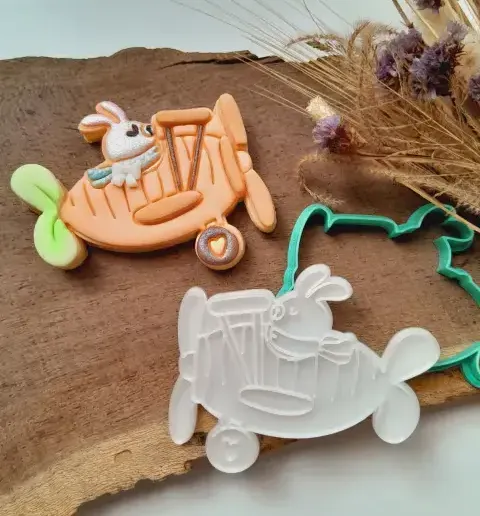 Easter bunny plane carrot