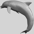 27_TDA0613_Dolphin_03A02.png Dolphin 03