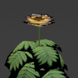 Screenshot_12.png Shrubs