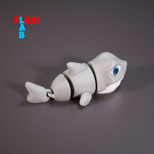 articulated-shark.jpg Movable small shark | Megalodon Flexi LAB