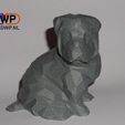 LP2.jpg Low Poly Shar Pei Puppy (Dog Statue)