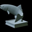 Rainbow-trout-trophy-35.png rainbow trout / Oncorhynchus mykiss fish in motion trophy statue detailed texture for 3d printing