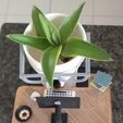 WhatsApp-Image-2024-09-20-at-6.58.58-PM.jpeg Robert Office Home Office Pot Pot Pot