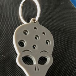 IMG_20180604_191354_HDR.jpg Free 3D file Alien Heads Keychain - portachiavi teste alieno・3D print design to download