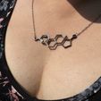 IMG_5439.jpeg Estradiol Molecule Necklace