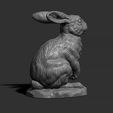 9.jpg Rabbit sitting