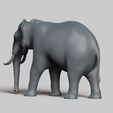 R05.jpg elephant pose 03