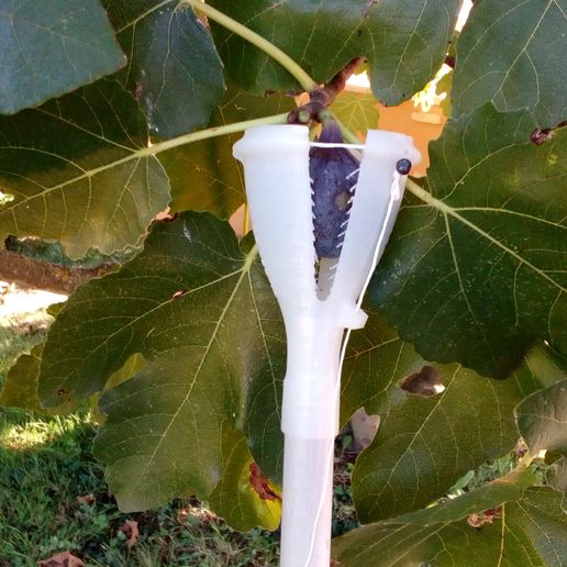 Outil-figue-2.jpg Fig pickings