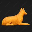 1717-Belgian_Shepherd_Dog_Malinois_Pose_08.jpg Belgian Shepherd Dog Malinois Dog 3D Print Model Pose 08
