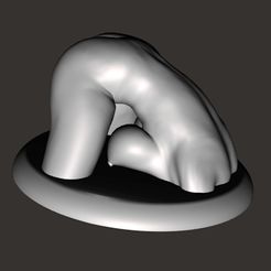 Image5.jpg STL file Nice Ass and Tits #12 - 3D Print STL - OBJ Files・Template to download and 3D print