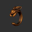 ZBrush-Movie.MPG_snapshot_00.00.000.jpg Кольцо для кролика - 3D модель