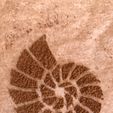 IMG_2343.jpeg Stencil coffee - Sea Shell