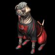 ZGrab08.jpg DOGPOOL