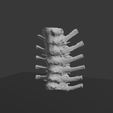 A3.png 逼真的胸椎与肋骨 3D 可打印解剖模型