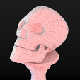 Skull-table2_Wire0039.png Human Skull Low Poly