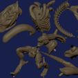 partsc.png 异形 Xenomorph - 优雅的奇幻生物雕像