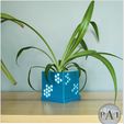 HEXA-PLANTER-002.jpg Cute Honeycomb Planter/Succulent pot