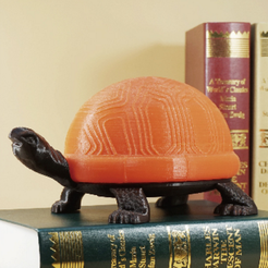 Capture_d__cran_2015-11-10___10.29.17.png Free STL file tortoise lamp・3D print object to download