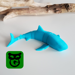 20221109_140632.png STL file Great White Shark Flexi・3D printer design to download