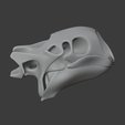 Aldabra-Tortoise-Skull_side.png Aldabra Tortoise Skull