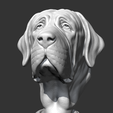 01.png Spanish Mastiff Head AM30 3D print model