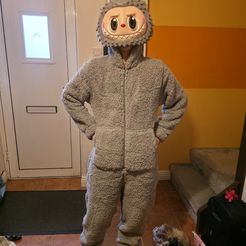 Labubu The Monster - Anime, Game, Cosplay Mask, Props - Free STL Files