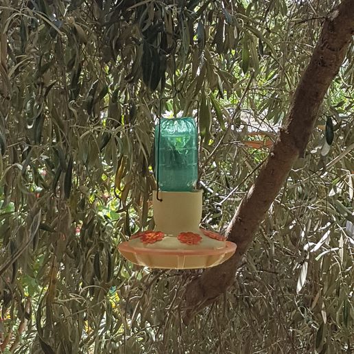 20230619_124359.jpg Hummingbird feeder