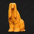 105-Afghan_Hound_Pose_05.jpg Afghan Hound Dog 3D Print Model Pose 05