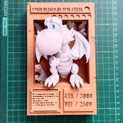 WhatsApp-Image-2023-11-30-at-9.20.27-AM.jpeg Blue-eyed white Yoshi