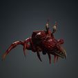 Y.jpg Crab, - DOWNLOAD Crab 3d Model - PACK animated for Blender-Fbx-Unity-Maya-Unreal-C4d-3ds Max - 3D Printing Crab Crab
