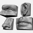 03.jpg ANATOMY PACK - FACE PARTS
