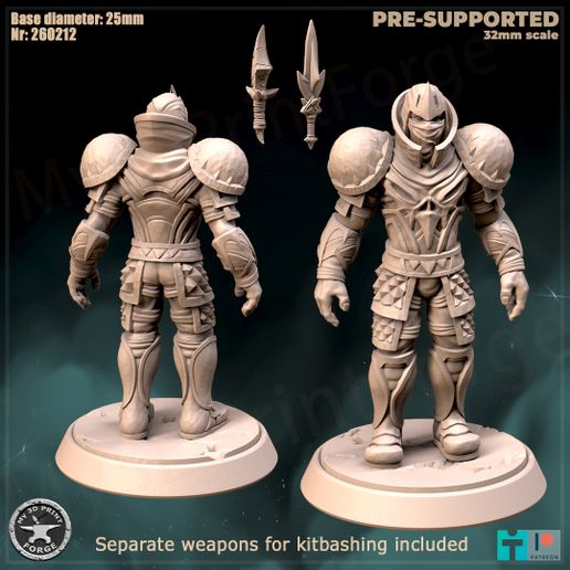 Rogue Tier1 and weapons